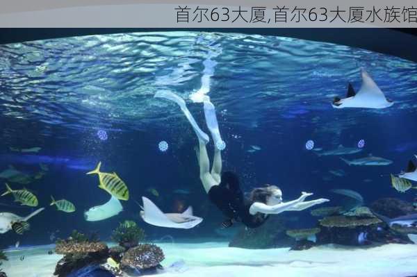 首尔63大厦,首尔63大厦水族馆-第2张图片-猪头旅行网