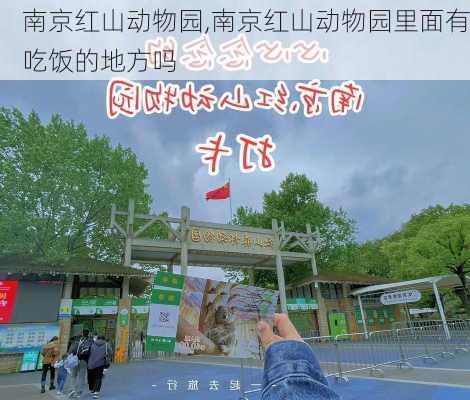 南京红山动物园,南京红山动物园里面有吃饭的地方吗-第1张图片-猪头旅行网