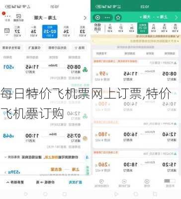 每日特价飞机票网上订票,特价飞机票订购-第3张图片-猪头旅行网