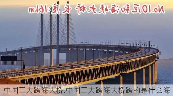 中国三大跨海大桥,中国三大跨海大桥跨的是什么海-第2张图片-猪头旅行网