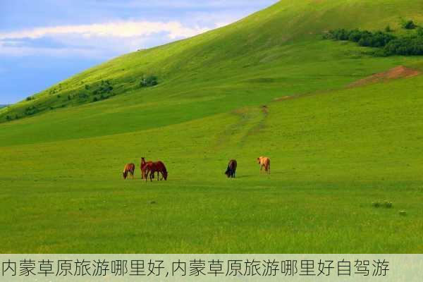 内蒙草原旅游哪里好,内蒙草原旅游哪里好自驾游-第3张图片-猪头旅行网