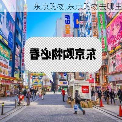 东京购物,东京购物去哪里-第2张图片-猪头旅行网