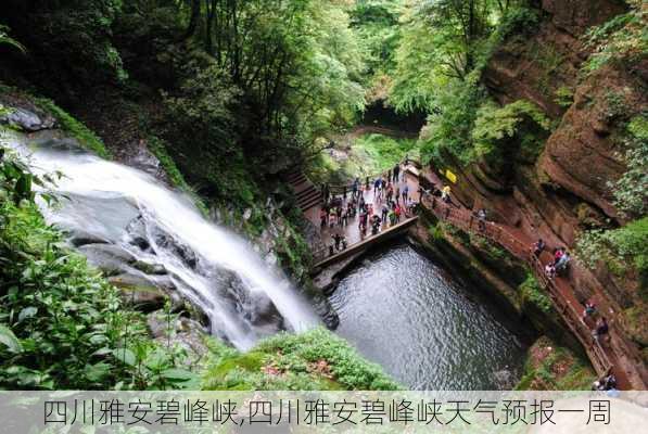 四川雅安碧峰峡,四川雅安碧峰峡天气预报一周-第3张图片-猪头旅行网