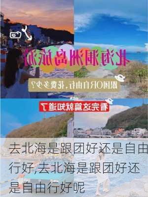 去北海是跟团好还是自由行好,去北海是跟团好还是自由行好呢-第2张图片-猪头旅行网