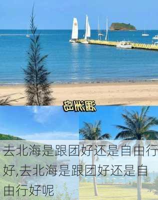 去北海是跟团好还是自由行好,去北海是跟团好还是自由行好呢-第3张图片-猪头旅行网