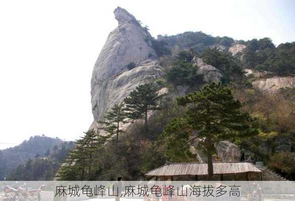 麻城龟峰山,麻城龟峰山海拔多高-第3张图片-猪头旅行网