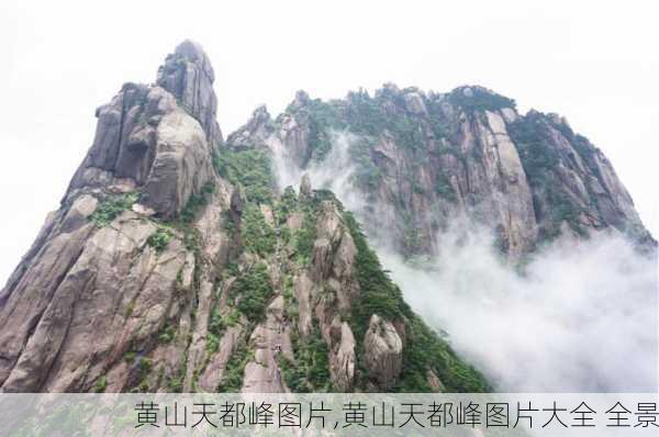 黄山天都峰图片,黄山天都峰图片大全 全景-第3张图片-猪头旅行网