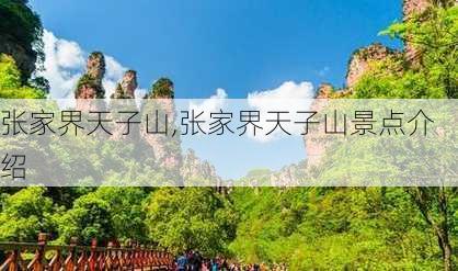 张家界天子山,张家界天子山景点介绍-第1张图片-猪头旅行网