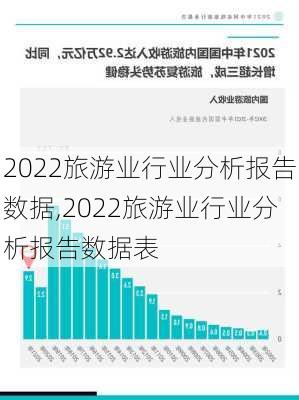 2022旅游业行业分析报告数据,2022旅游业行业分析报告数据表-第2张图片-猪头旅行网