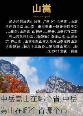 中岳嵩山在哪个省,中岳嵩山在哪个省哪个市-第1张图片-猪头旅行网