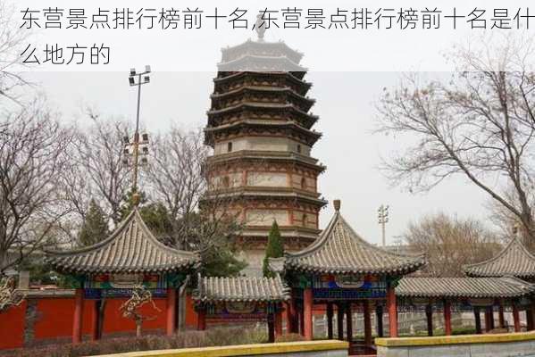 东营景点排行榜前十名,东营景点排行榜前十名是什么地方的-第3张图片-猪头旅行网