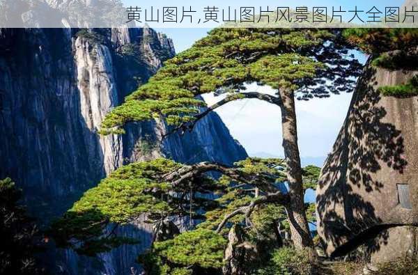 黄山图片,黄山图片风景图片大全图片-第1张图片-猪头旅行网