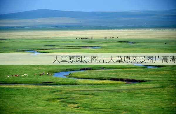 大草原风景图片,大草原风景图片高清-第1张图片-猪头旅行网