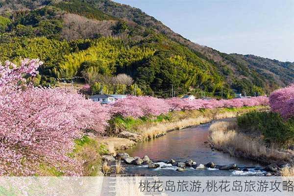 桃花岛旅游,桃花岛旅游攻略-第3张图片-猪头旅行网