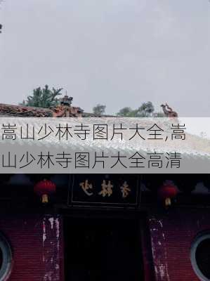 嵩山少林寺图片大全,嵩山少林寺图片大全高清-第3张图片-猪头旅行网