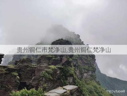 贵州铜仁市梵净山,贵州铜仁梵净山-第1张图片-猪头旅行网