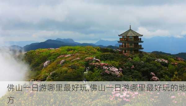 佛山一日游哪里最好玩,佛山一日游哪里最好玩的地方-第3张图片-猪头旅行网