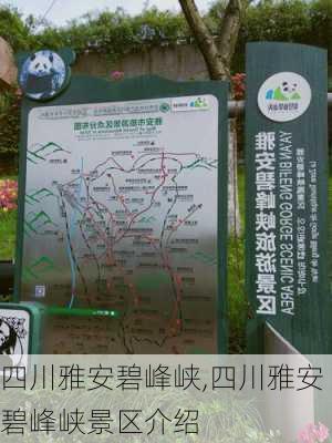 四川雅安碧峰峡,四川雅安碧峰峡景区介绍-第3张图片-猪头旅行网