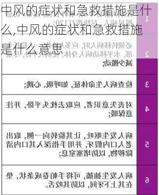 中风的症状和急救措施是什么,中风的症状和急救措施是什么意思-第3张图片-猪头旅行网