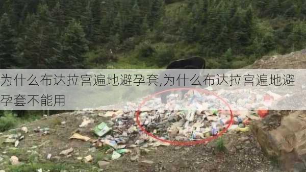 为什么布达拉宫遍地避孕套,为什么布达拉宫遍地避孕套不能用-第2张图片-猪头旅行网