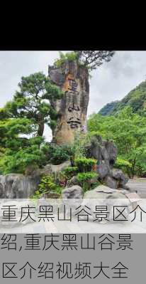 重庆黑山谷景区介绍,重庆黑山谷景区介绍视频大全-第3张图片-猪头旅行网