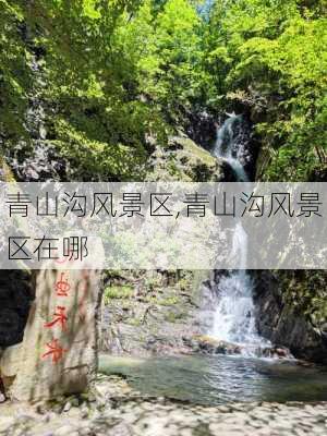 青山沟风景区,青山沟风景区在哪-第3张图片-猪头旅行网