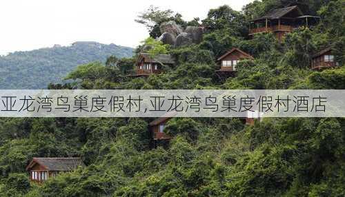 亚龙湾鸟巢度假村,亚龙湾鸟巢度假村酒店