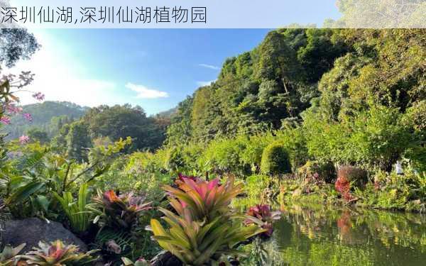 深圳仙湖,深圳仙湖植物园