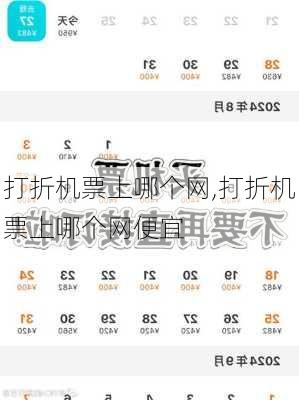 打折机票上哪个网,打折机票上哪个网便宜-第2张图片-猪头旅行网