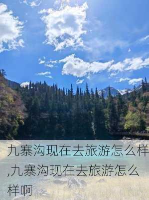 九寨沟现在去旅游怎么样,九寨沟现在去旅游怎么样啊-第3张图片-猪头旅行网