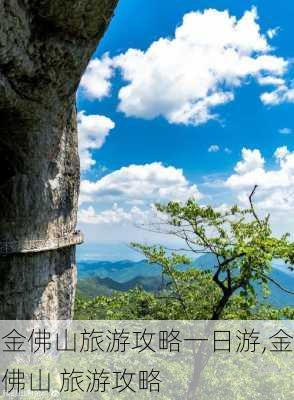 金佛山旅游攻略一日游,金佛山 旅游攻略-第2张图片-猪头旅行网