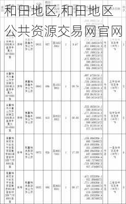 和田地区,和田地区公共资源交易网官网-第2张图片-猪头旅行网