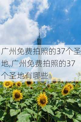 广州免费拍照的37个圣地,广州免费拍照的37个圣地有哪些-第1张图片-猪头旅行网