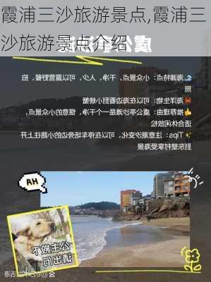 霞浦三沙旅游景点,霞浦三沙旅游景点介绍-第3张图片-猪头旅行网